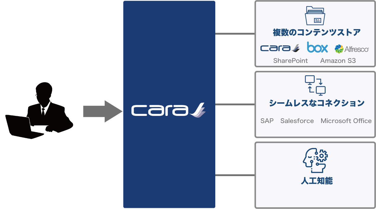 CARAイメージ図