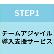 STEP1　チームアジャイル　導入支援サービス