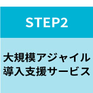 STEP2　大規模アジャイル　導入支援サービス