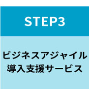 STEP3　ビジネスアジャイル　導入支援サービス